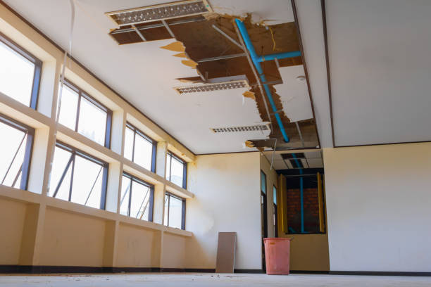Best Water damage contractors near me  in Adamstown, MD
