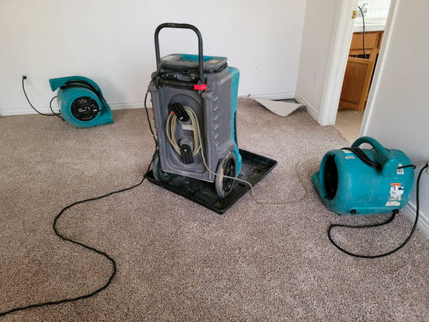 Best Flood restoration services  in Adamstown, MD