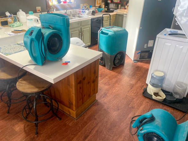 Best Mold removal after water damage  in Adamstown, MD