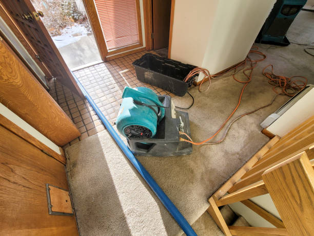Best Residential water damage restoration  in Adamstown, MD