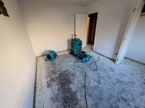 Carpet water damage restoration in Adamstown, MD