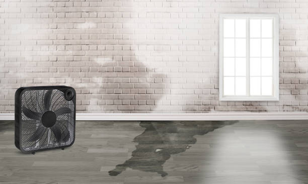 Best 24-hour water damage restoration  in Adamstown, MD