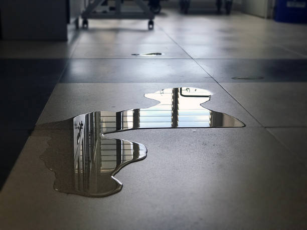 Best Water damage mitigation services  in Adamstown, MD