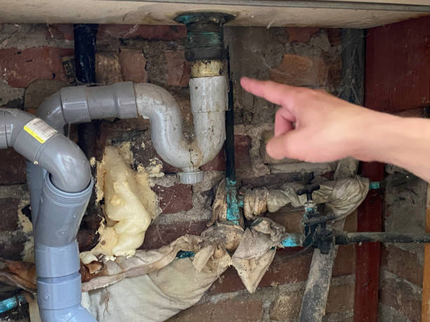 Best Water damage restoration mold remediation  in Adamstown, MD