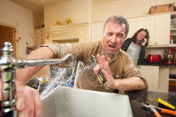 Best Water damage cleanup near me  in Adamstown, MD